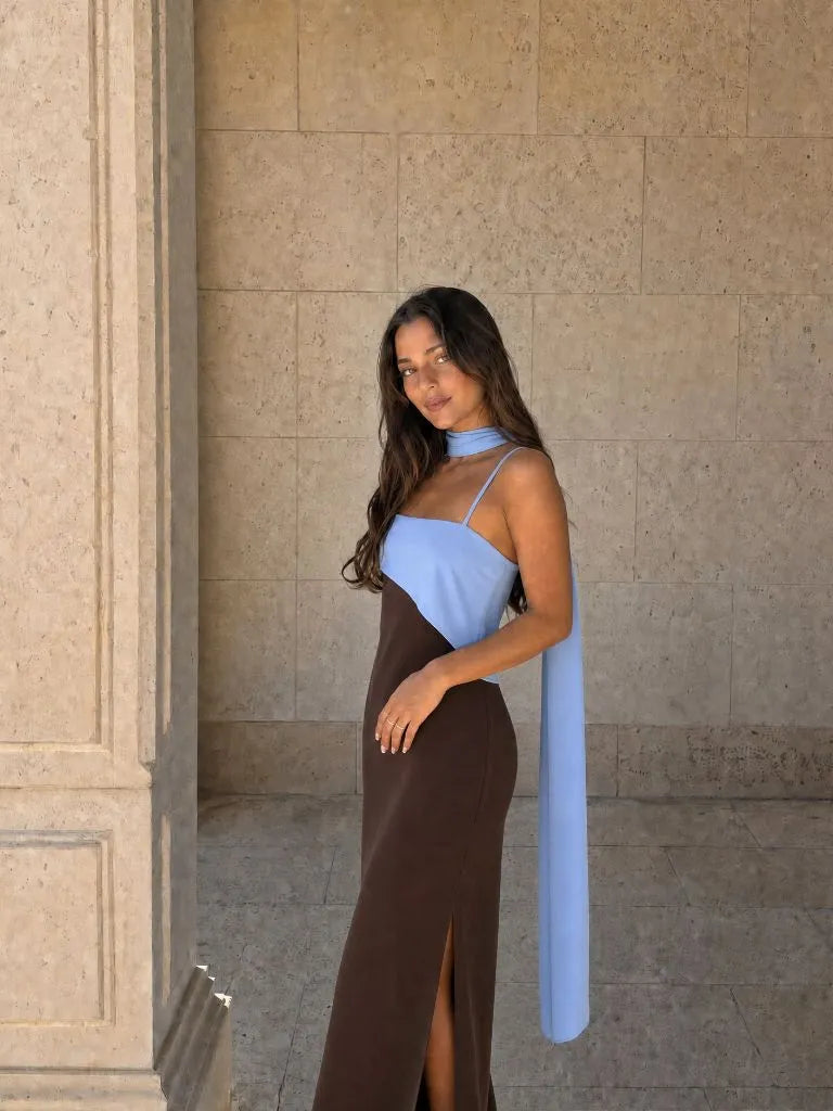 Vestido de Invitada de Boda Largo Elegante Bicolor con Drapeado